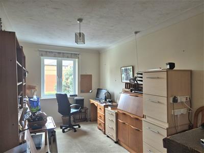 Picture 8